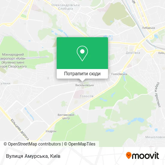 Карта Вулиця Амурська