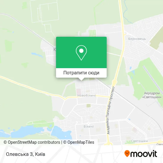 Карта Олевська 3