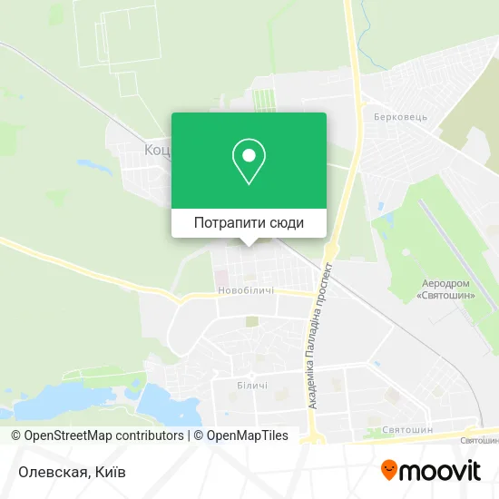 Карта Олевская