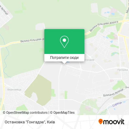 Карта Остановка "Гонгадзе"