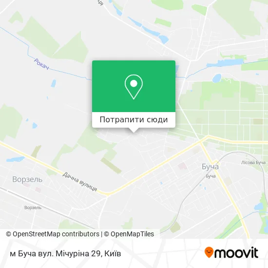 Карта м Буча вул. Мічуріна 29