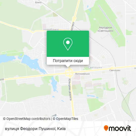 Карта вулиця Феодори Пушиної