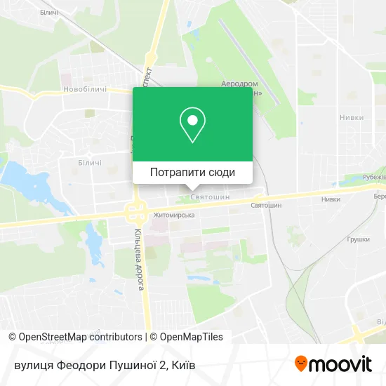 Карта вулиця Феодори Пушиної 2