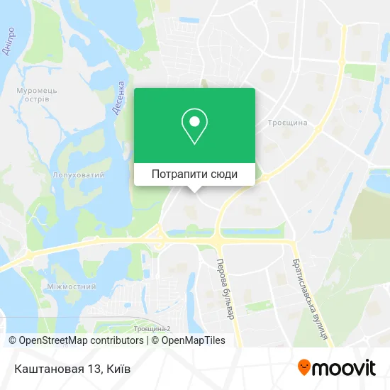 Карта Каштановая 13