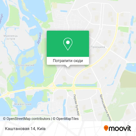 Карта Каштановая 14