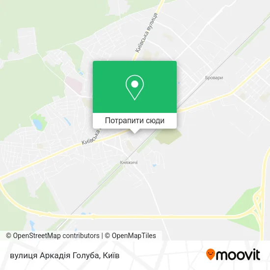 Карта вулиця Аркадія Голуба