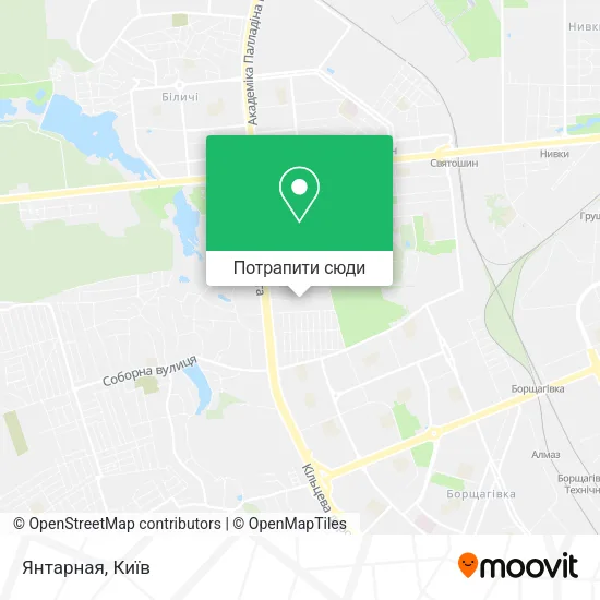 Карта Янтарная