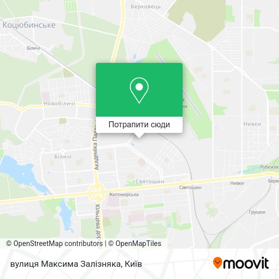 Карта вулиця Максима Залізняка
