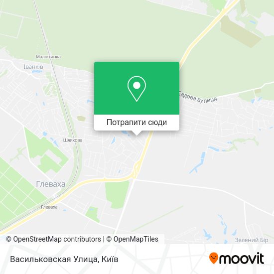 Карта Васильковская Улица