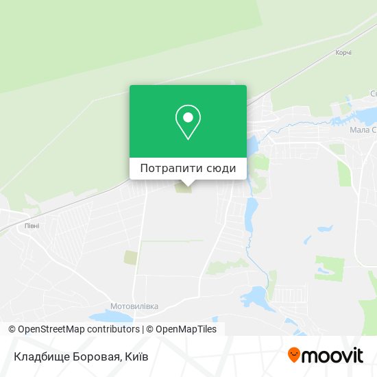 Карта Кладбище Боровая