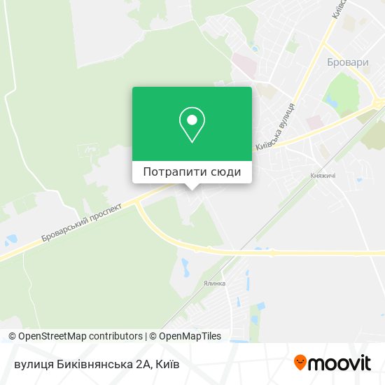 Карта вулиця Биківнянська 2А