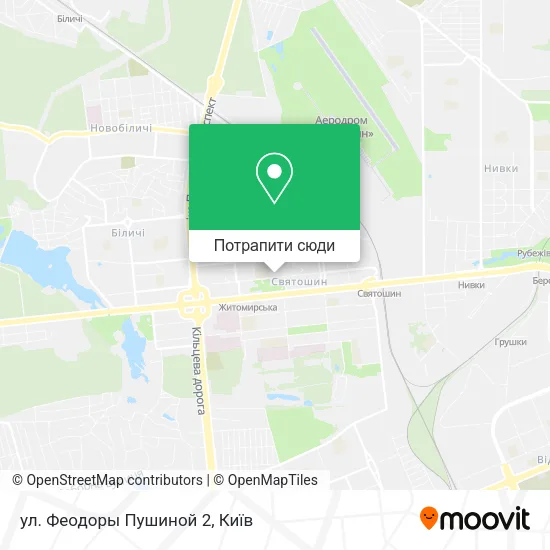 Карта ул. Феодоры Пушиной 2