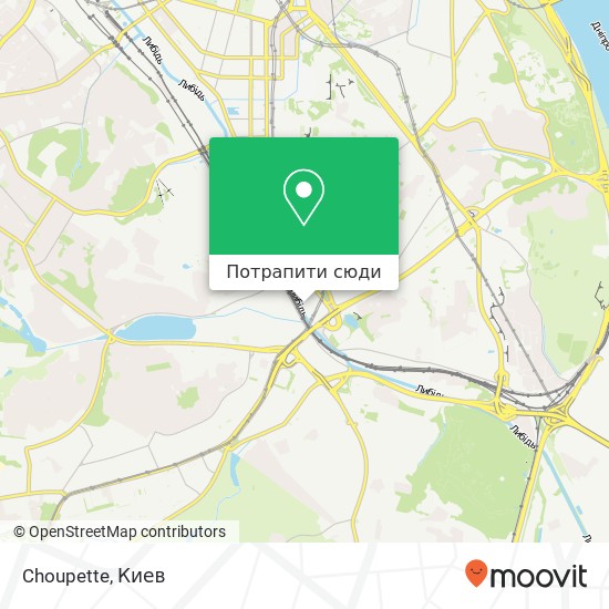 Карта Choupette, Київ 03150
