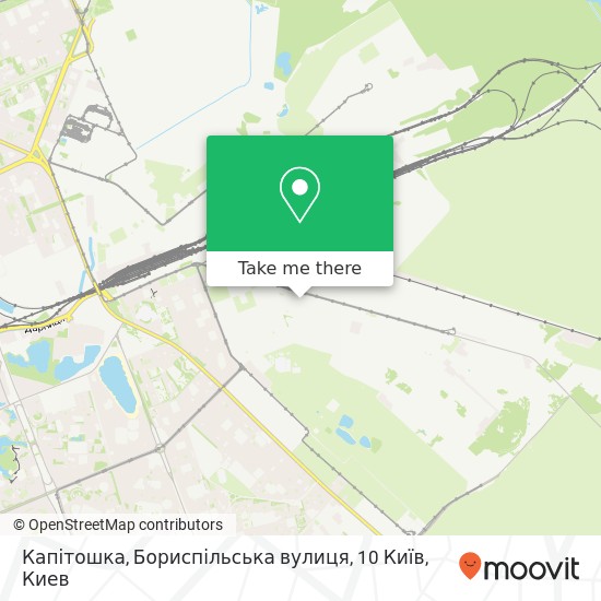 Карта Капітошка, Бориспільська вулиця, 10 Київ