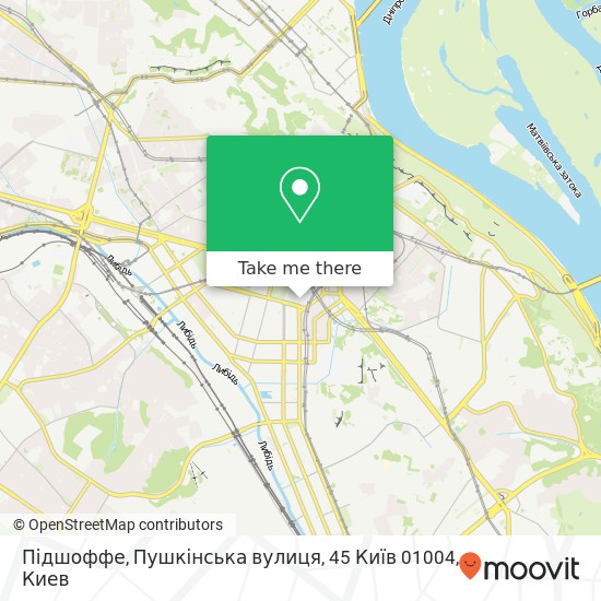 Карта Підшоффе, Пушкінська вулиця, 45 Київ 01004