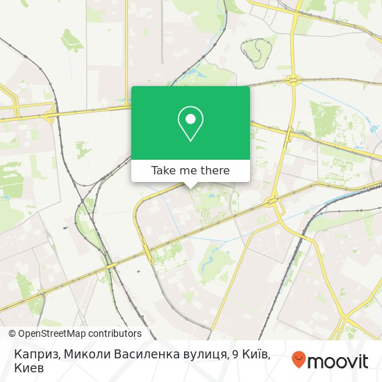 Карта Каприз, Миколи Василенка вулиця, 9 Київ