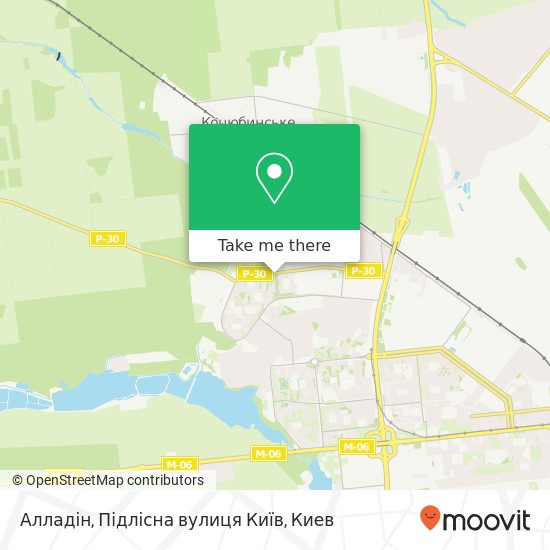 Карта Алладін, Підлісна вулиця Київ