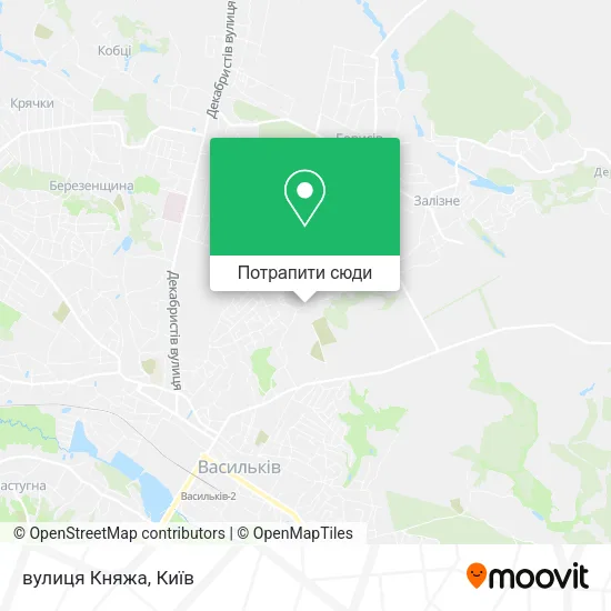 Карта вулиця Княжа