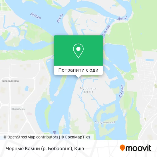 Карта Чёрные Камни (р. Бобровня)
