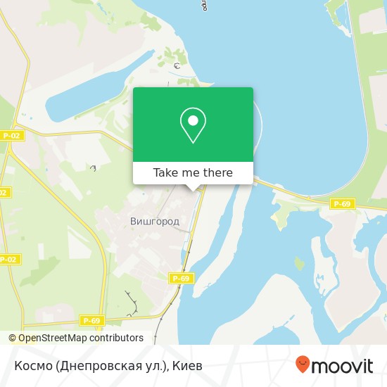 Карта Космо (Днепровская ул.)