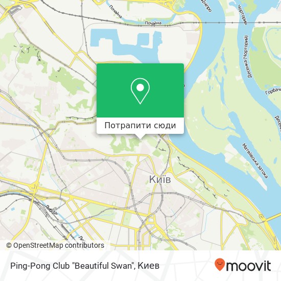 Карта Ping-Pong Club "Beautiful Swan"