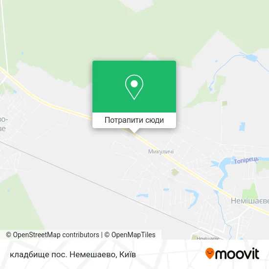 Карта кладбище пос. Немешаево