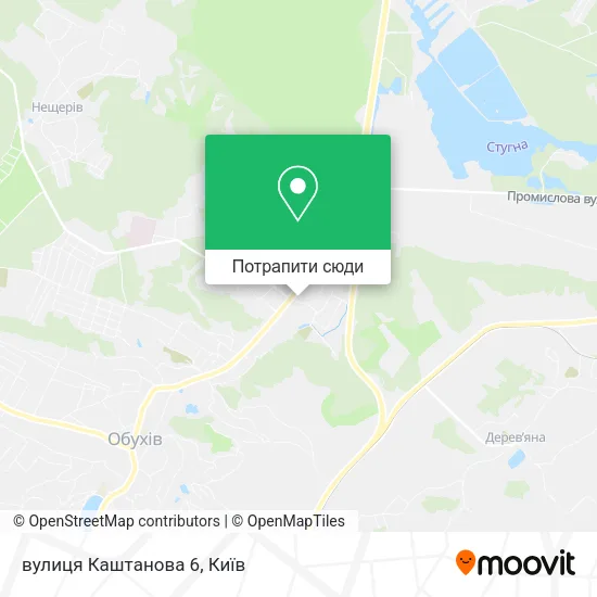 Карта вулиця Каштанова 6