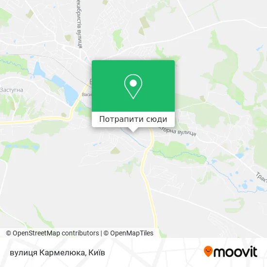 Карта вулиця Кармелюка