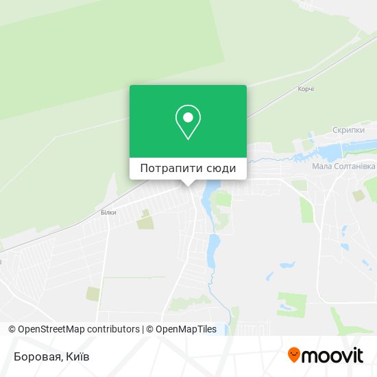 Карта Боровая