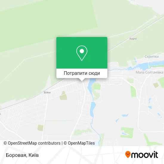 Карта Боровая