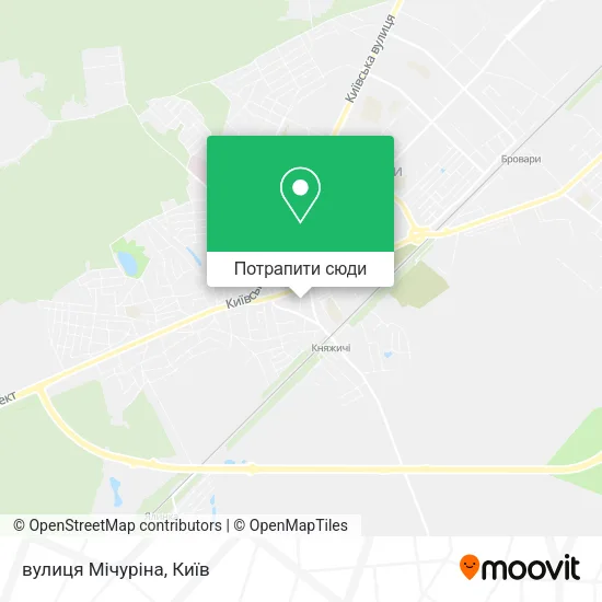 Карта вулиця Мічуріна