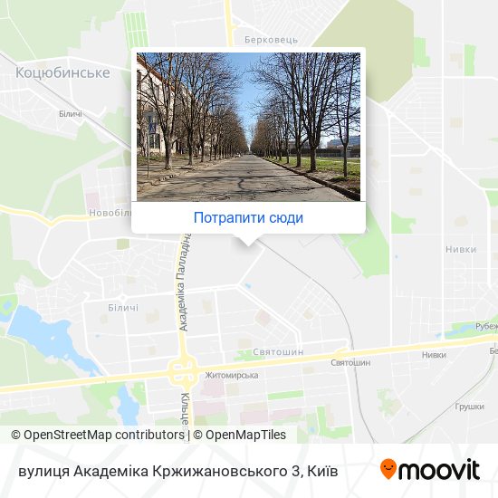 Карта вулиця Академіка Кржижановського 3