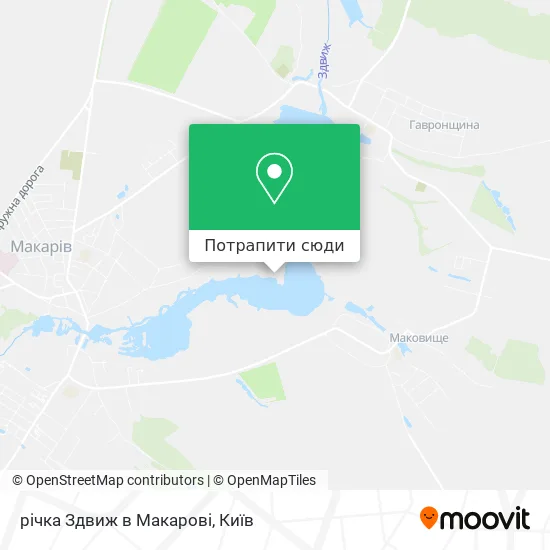 Карта річка Здвиж в Макарові