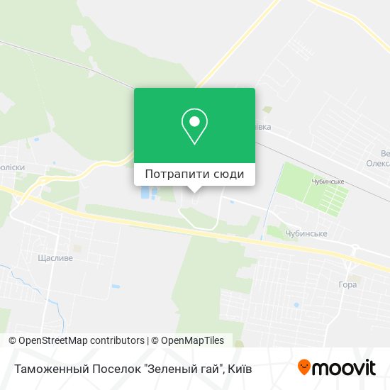 Карта Таможенный Поселок "Зеленый гай"
