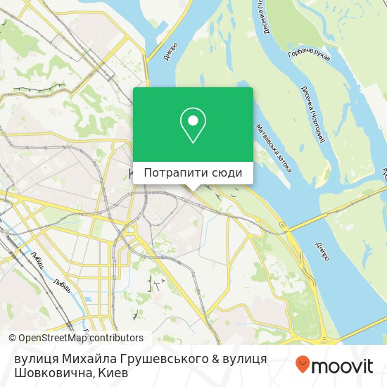 Карта вулиця Михайла Грушевського & вулиця Шовковична
