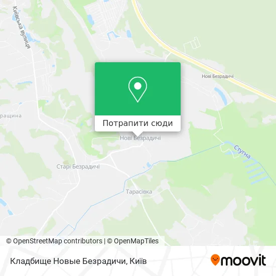 Карта Кладбище Новые Безрадичи