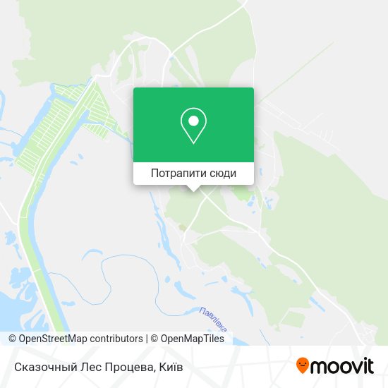 Карта Сказочный Лес Процева