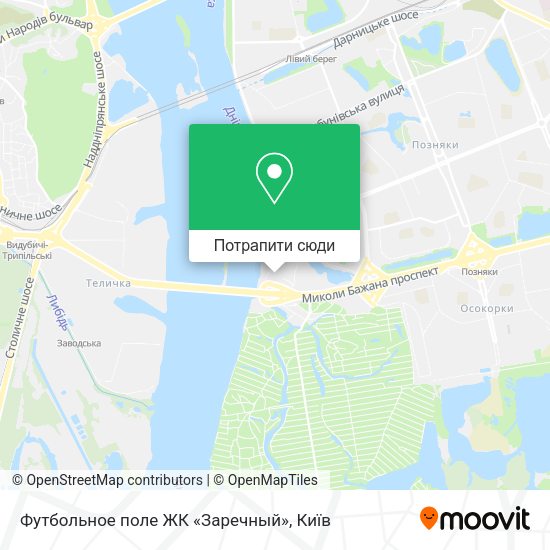 Карта Футбольное поле ЖК «Заречный»
