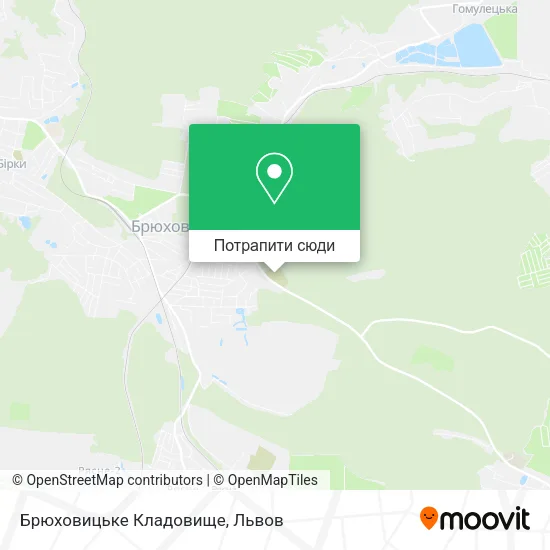 Карта Брюховицьке Кладовище