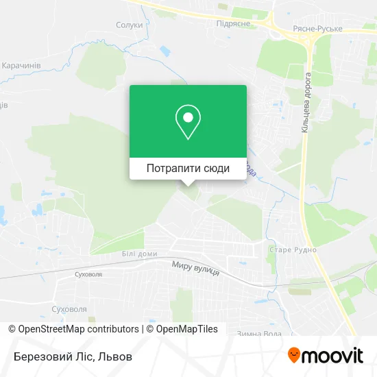 Карта Березовий Ліс