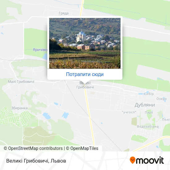 Карта Великі Грибовичі