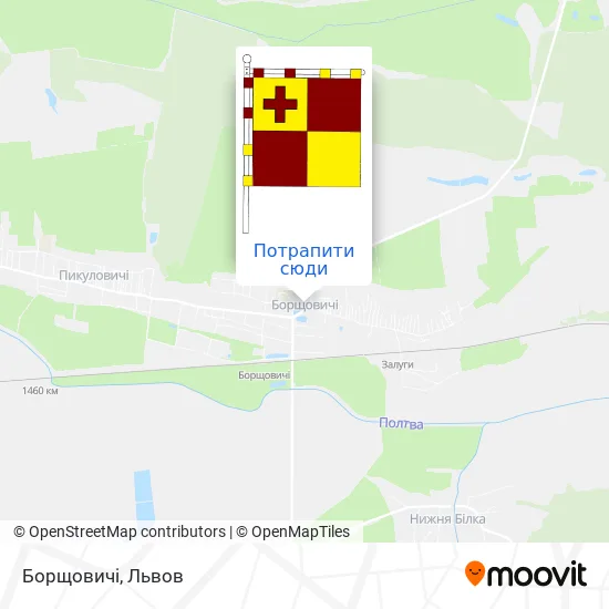 Карта Борщовичі