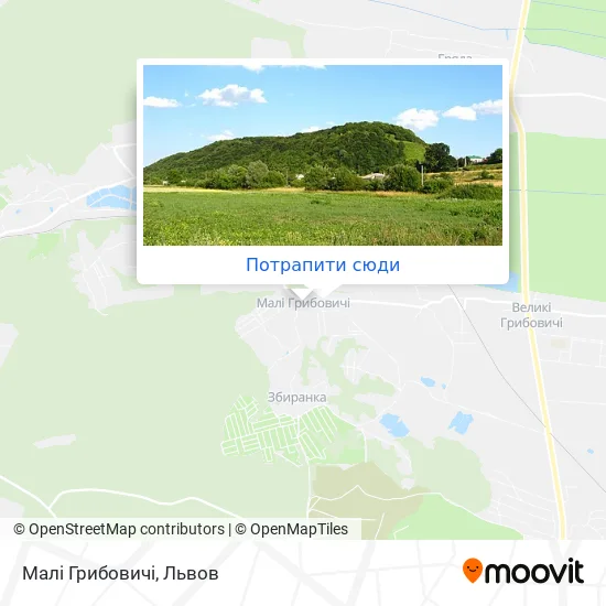 Карта Малі Грибовичі