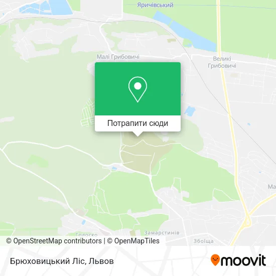 Карта Брюховицький Ліс