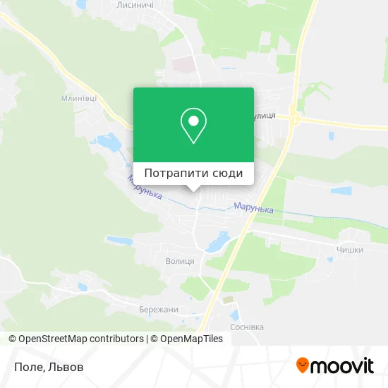 Карта Поле