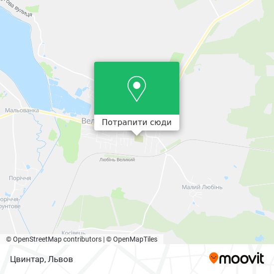 Карта Цвинтар