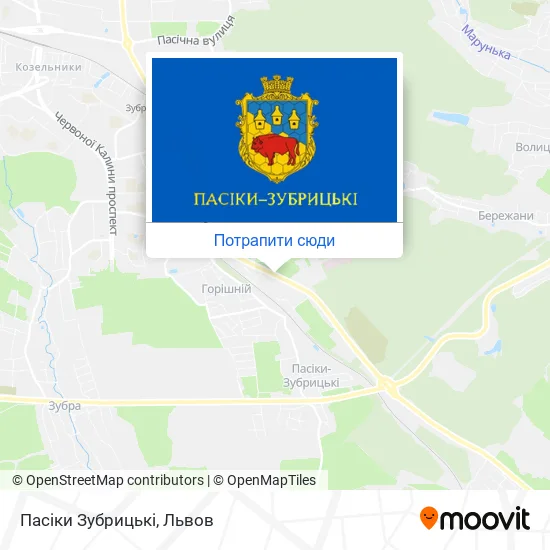Карта Пасіки Зубрицькі