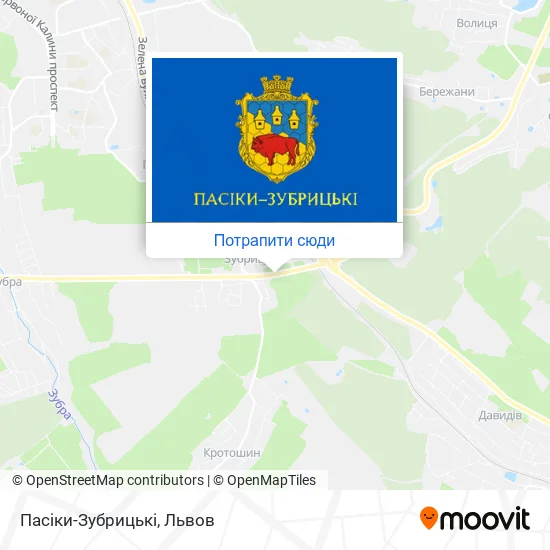 Карта Пасіки-Зубрицькі