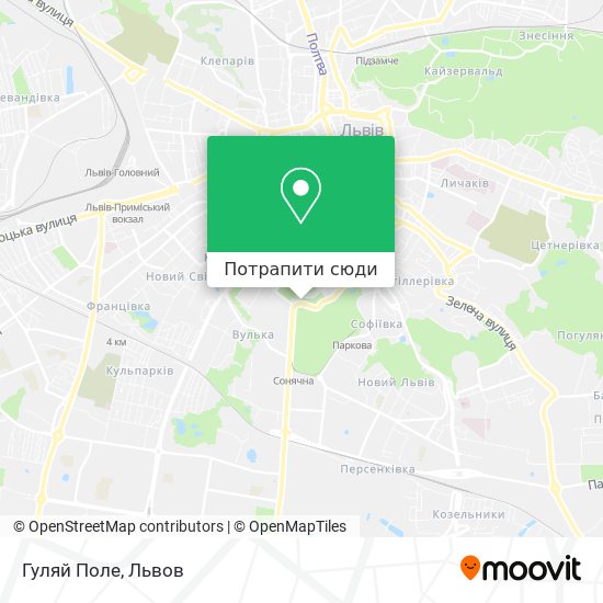 Карта Гуляй Поле