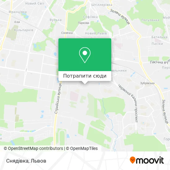 Карта Снядівка